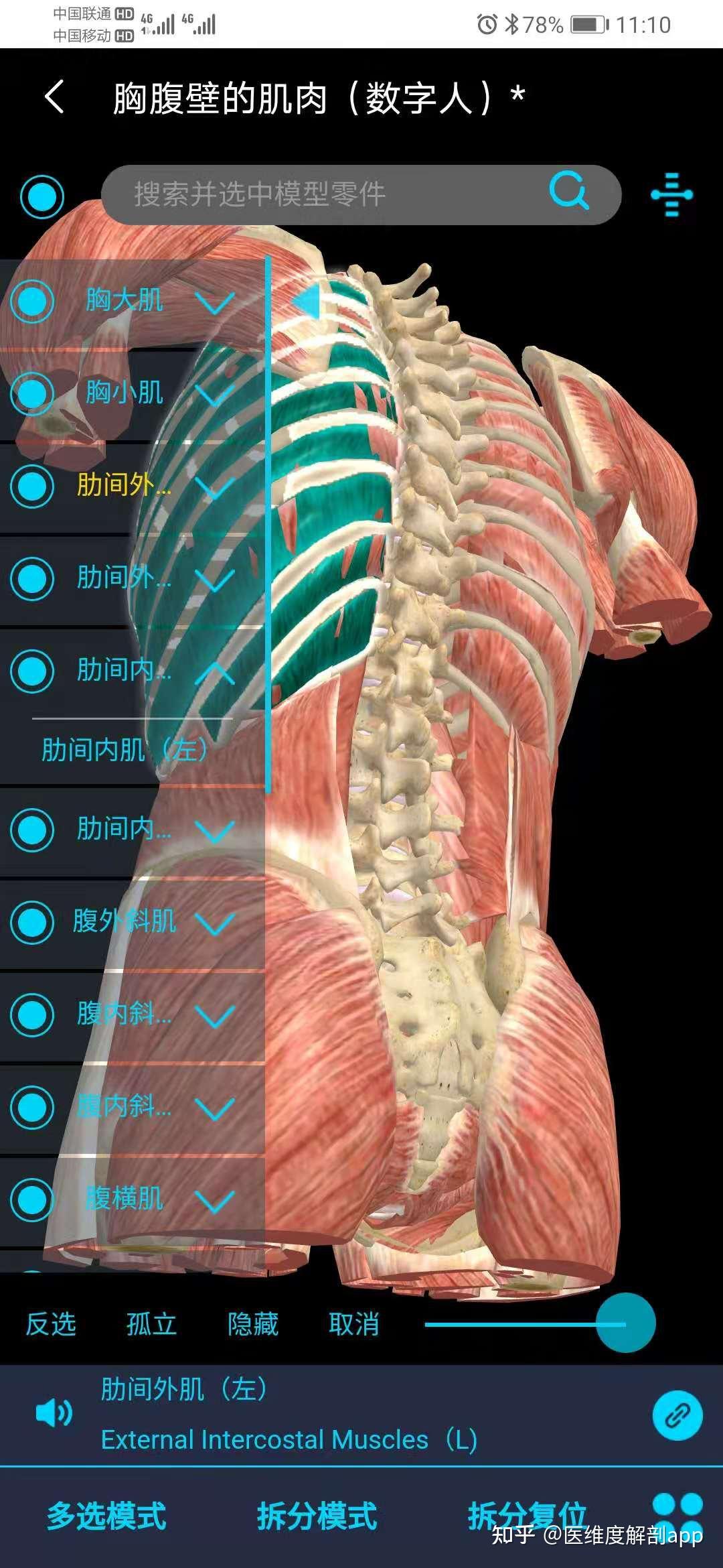 国内最好的解剖软件是3Dbody吗？ - 知乎
