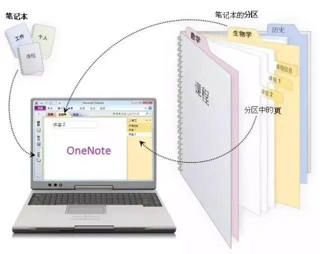 Onenote 中笔记容器的使用 - 知乎