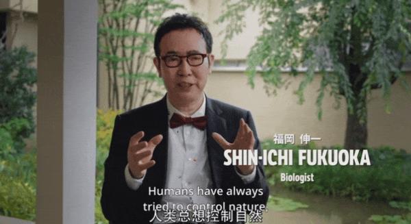 无数人看过宫崎骏的动画，只有这部纪录片把他讲透了