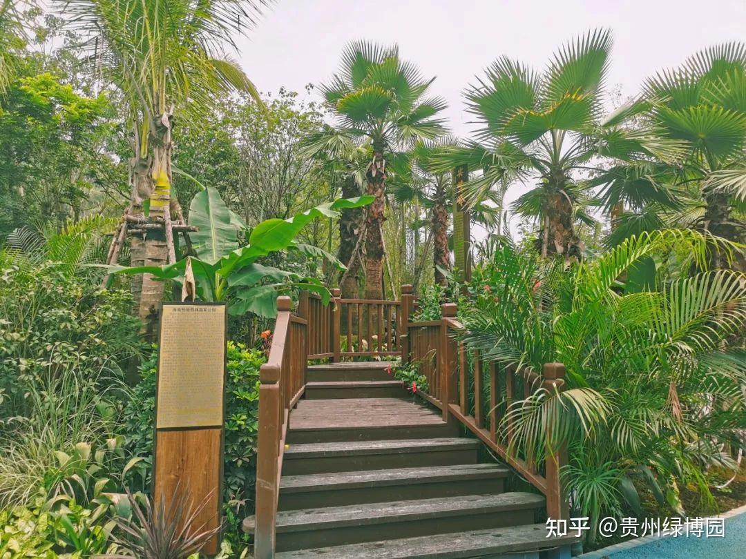 【展园风采】阳光海南 椰风海韵 - 知乎