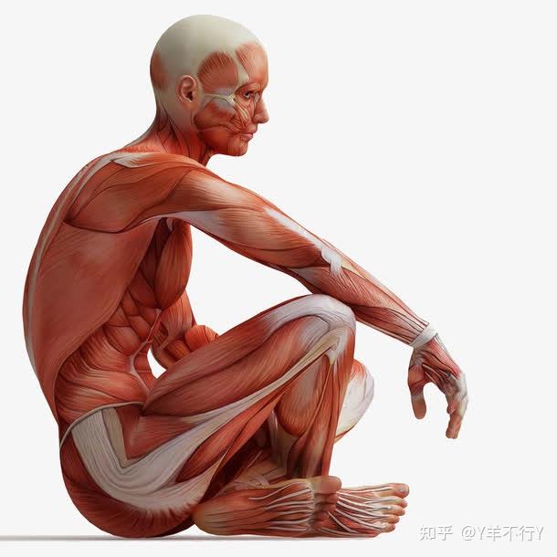 人被剥皮还能活着吗?