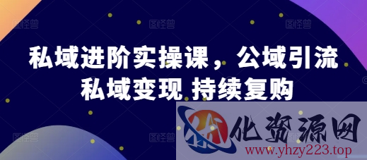 私域进阶实操课，公域引流 私域变现 持续复购