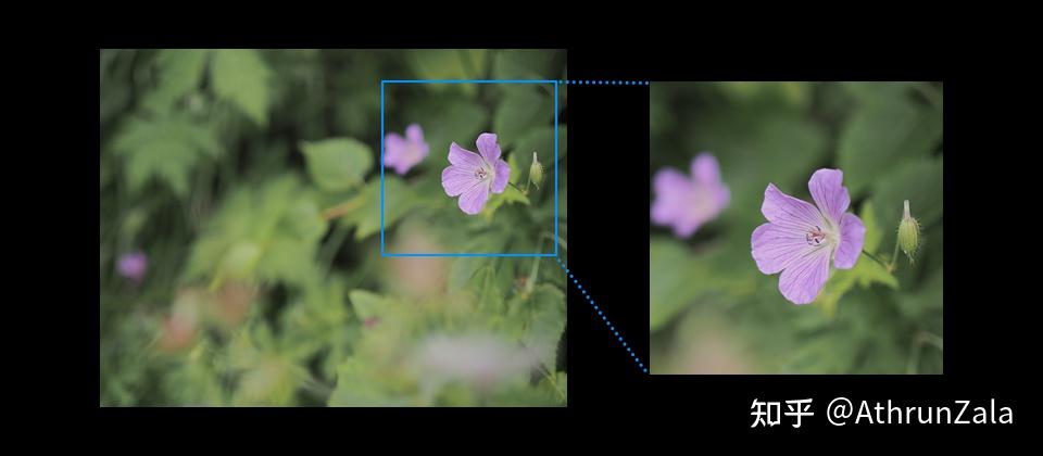 Panasonic收購鏡頭