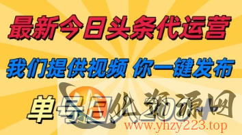 最新今日头条代运营，我们提供视频，你一键发布，单号日入200+【揭秘】