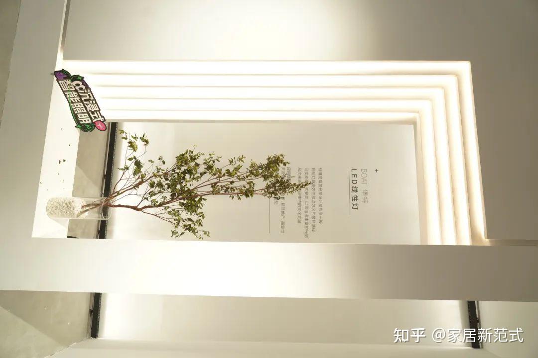 美好人居时代人物丨三雄极光张宇涛:以光为媒,共筑美好人居未来 - 知乎