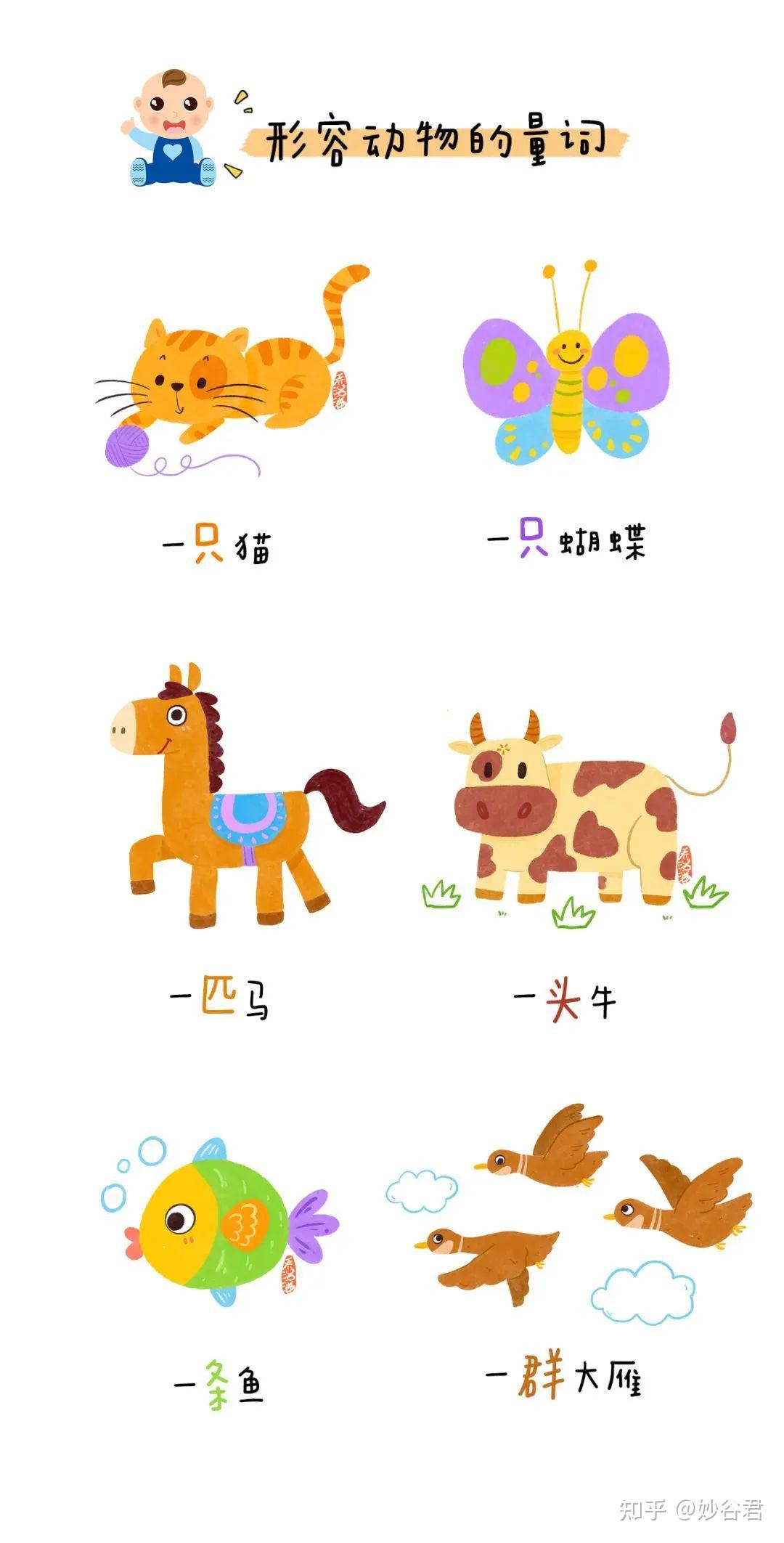 量词知多少 | 幼儿园小朋友的常用量词图鉴 - 知乎