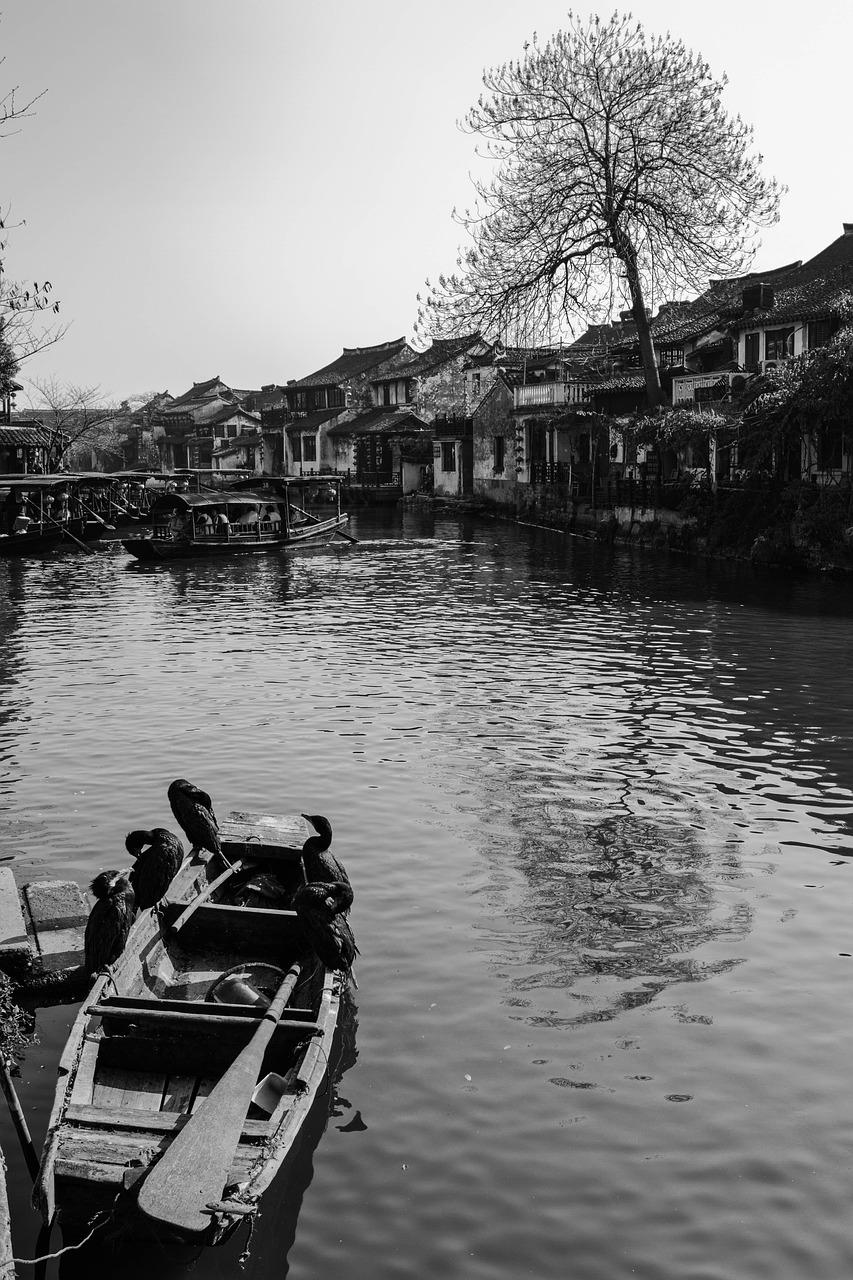 亲水生活新选择