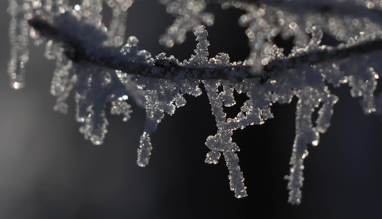 楼市冻结是什么