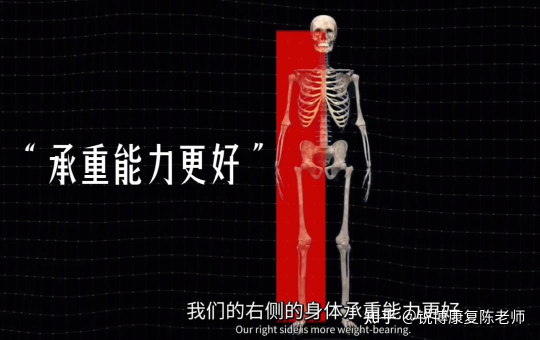 【锐博康复科普】【单侧腰痛】疼痛来源于身体不对称！ - 知乎