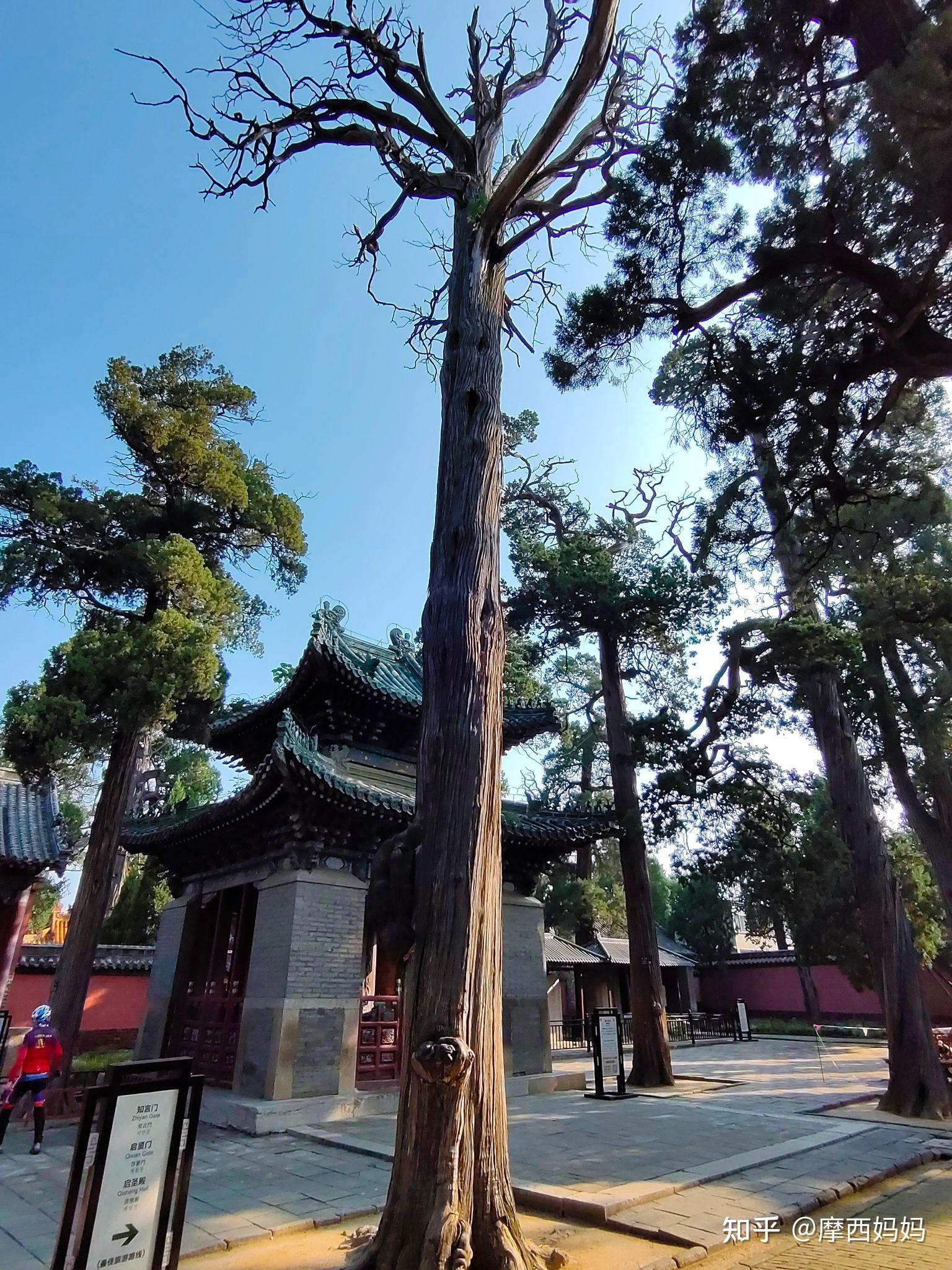 孟府景点介绍图片