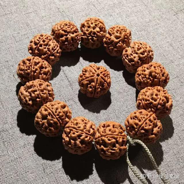 梅花双龙大金刚——如何选择颜值和性价比双高的文玩手串- 知乎