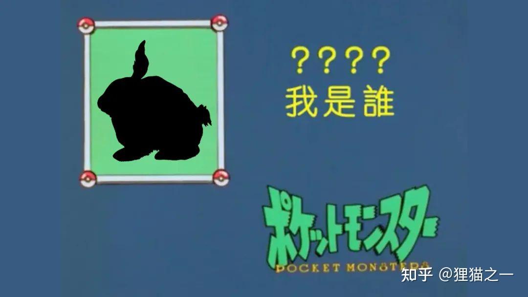 狮子头兔作为入侵物种进入佛州,但人们更担心其健康,因为太可爱 - 知乎