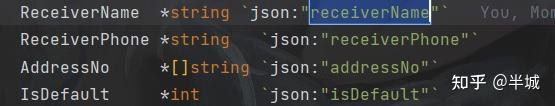 GoLand 结构体 json补全 自定义默认显示格式 - 知乎