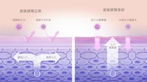 根源性拯救敏感肌，请着手内屏障修护！ - 知乎