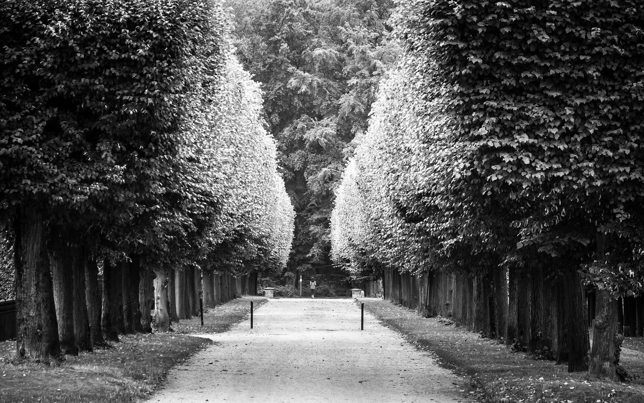 3. 徐东区域中心