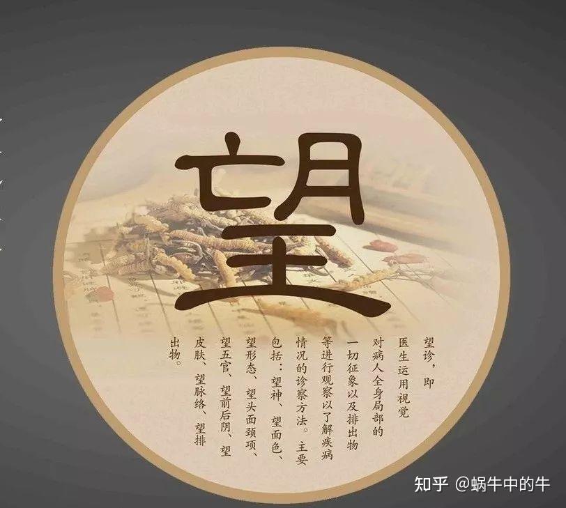 诊断歌诀(收藏版） - 知乎