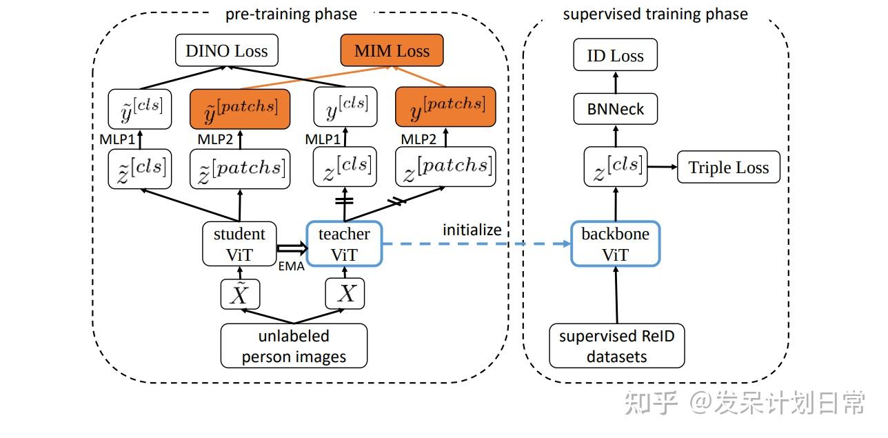 PersonViT: Large-scale Self-supervised Vision Transformer for Person Re ...