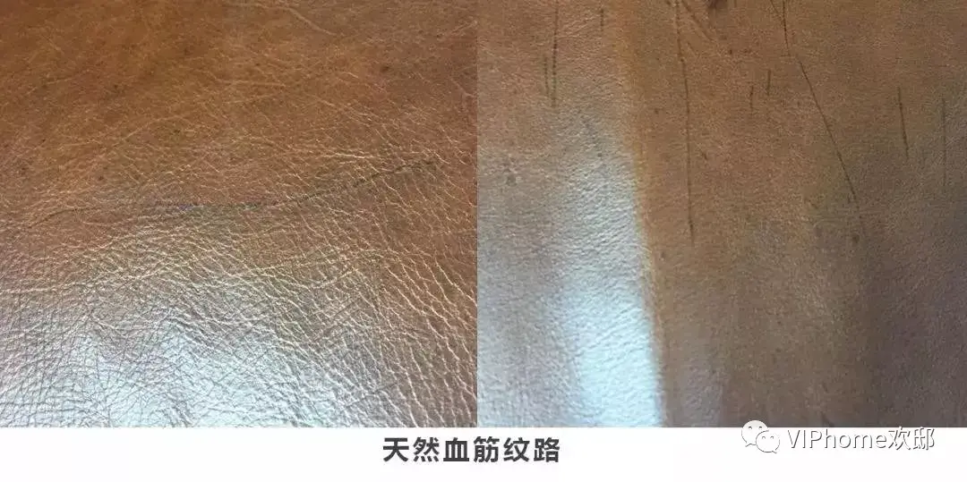 油蜡皮为什么这么“高级”? - 知乎