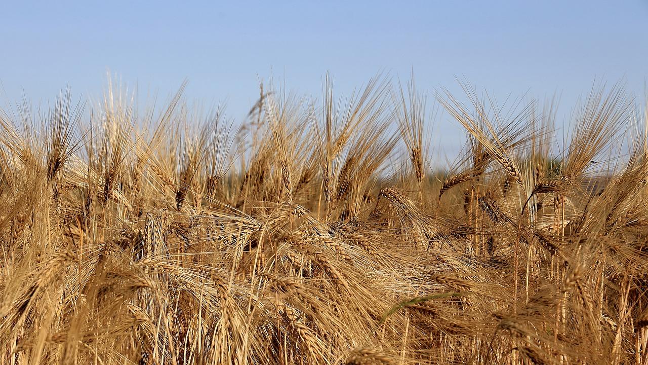 3. 补贴政策解读