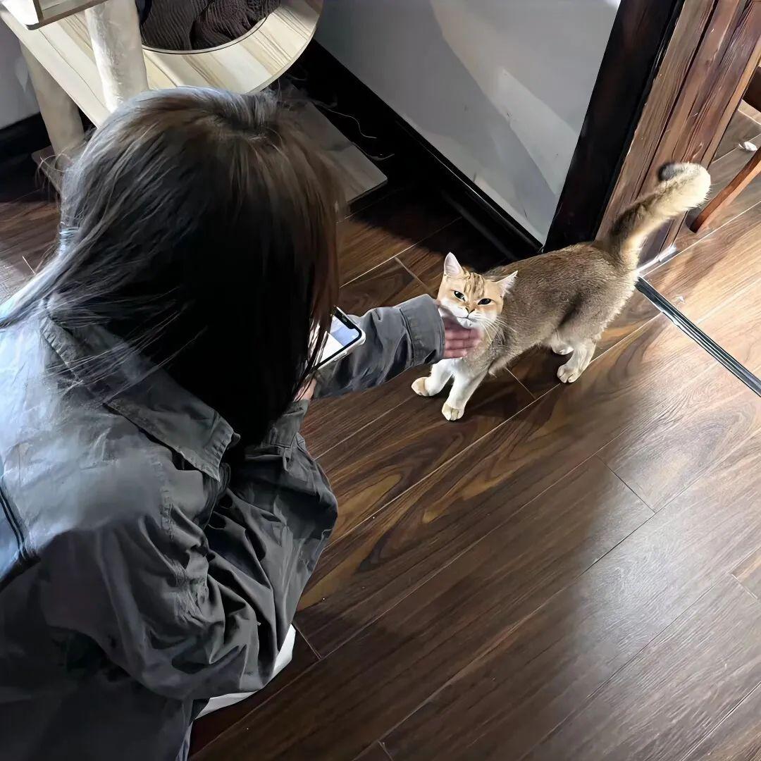 女生头像:抱猫猫的漂亮女生头像 - 知乎