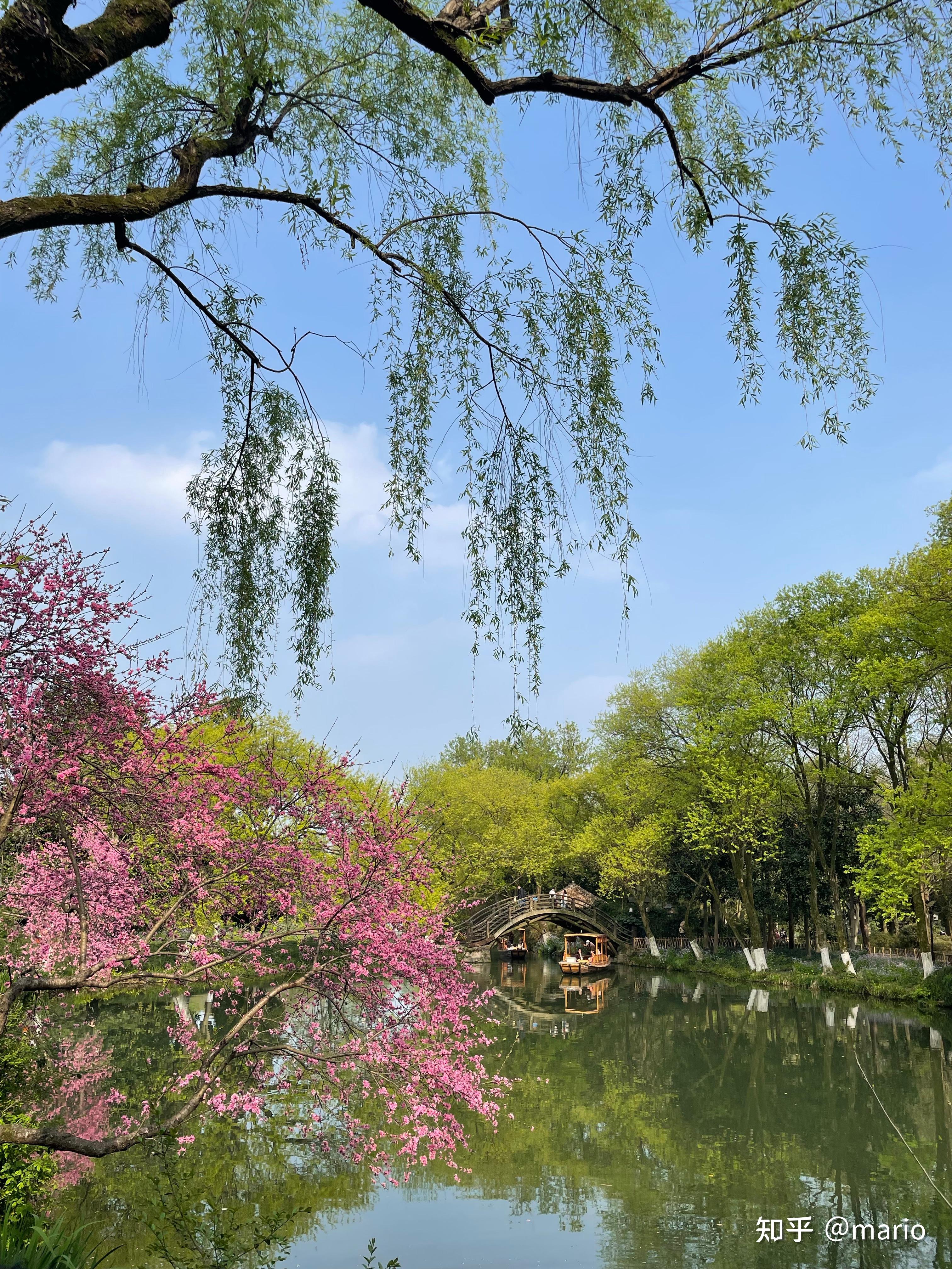 能分享一张你拍的风景照吗