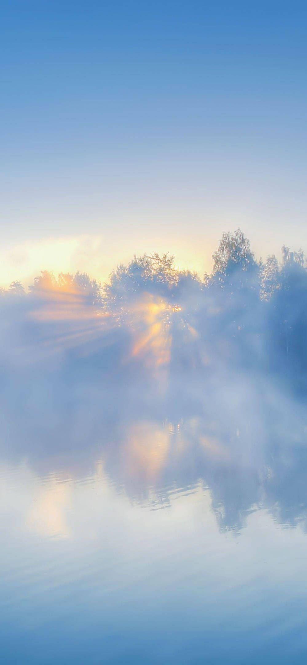 有什么清新脱俗久看不厌的手机壁纸