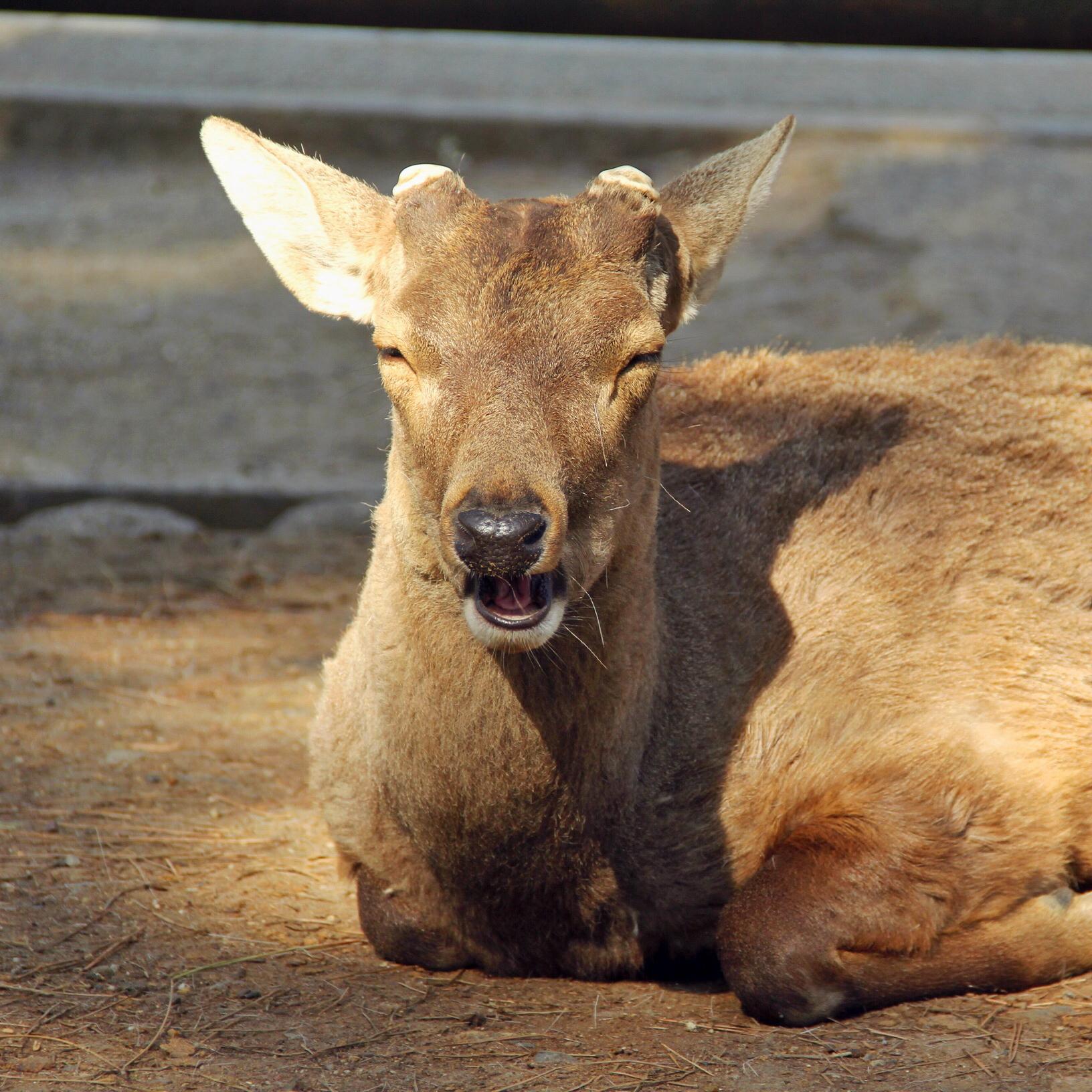 行者三的作品专区