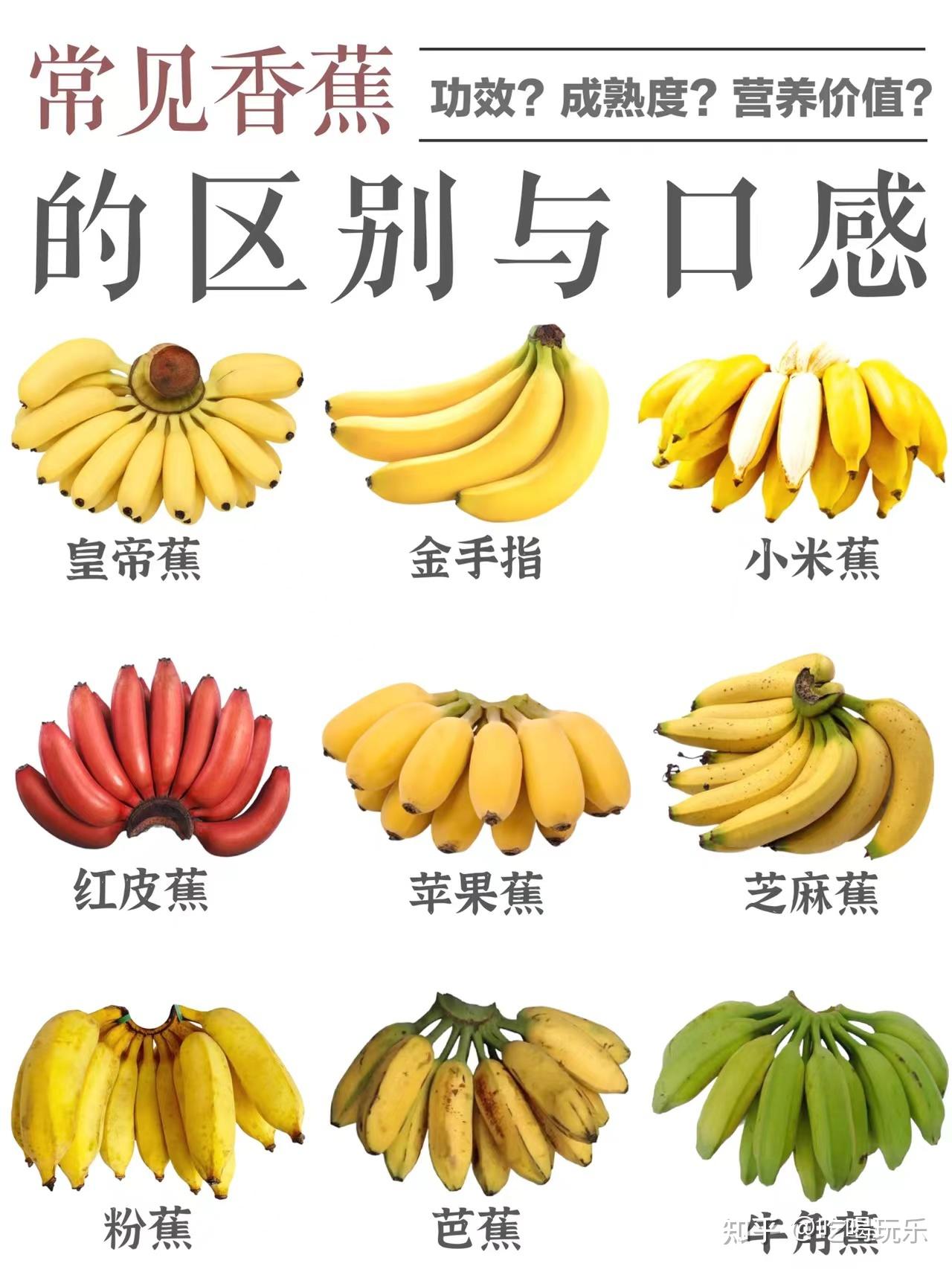 香蕉与芭蕉有什么区别
