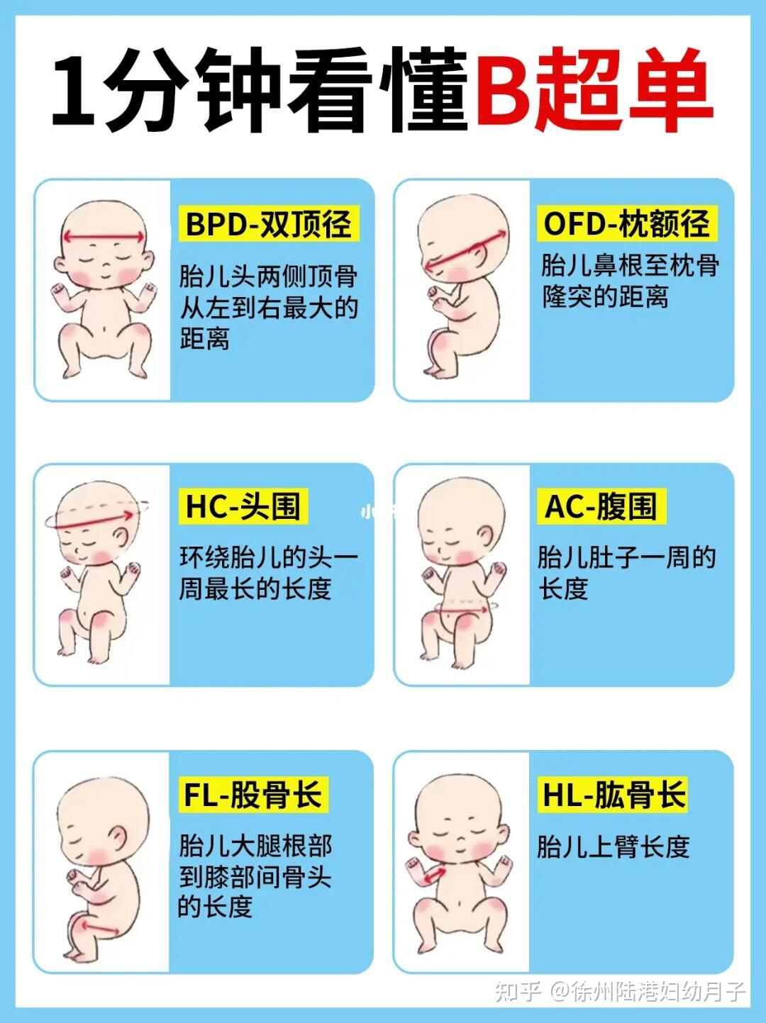 怀孕30周胎儿发育标准图片