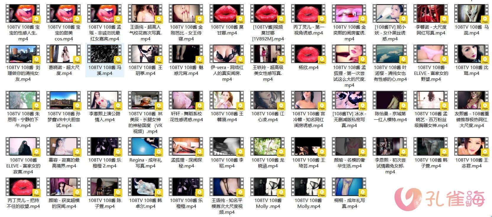 [合集]《108TV酱》视频作品144套120.89G-佳人吧