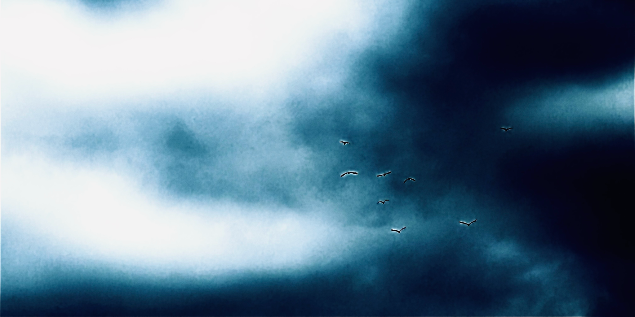 Zhihu banner for @neural