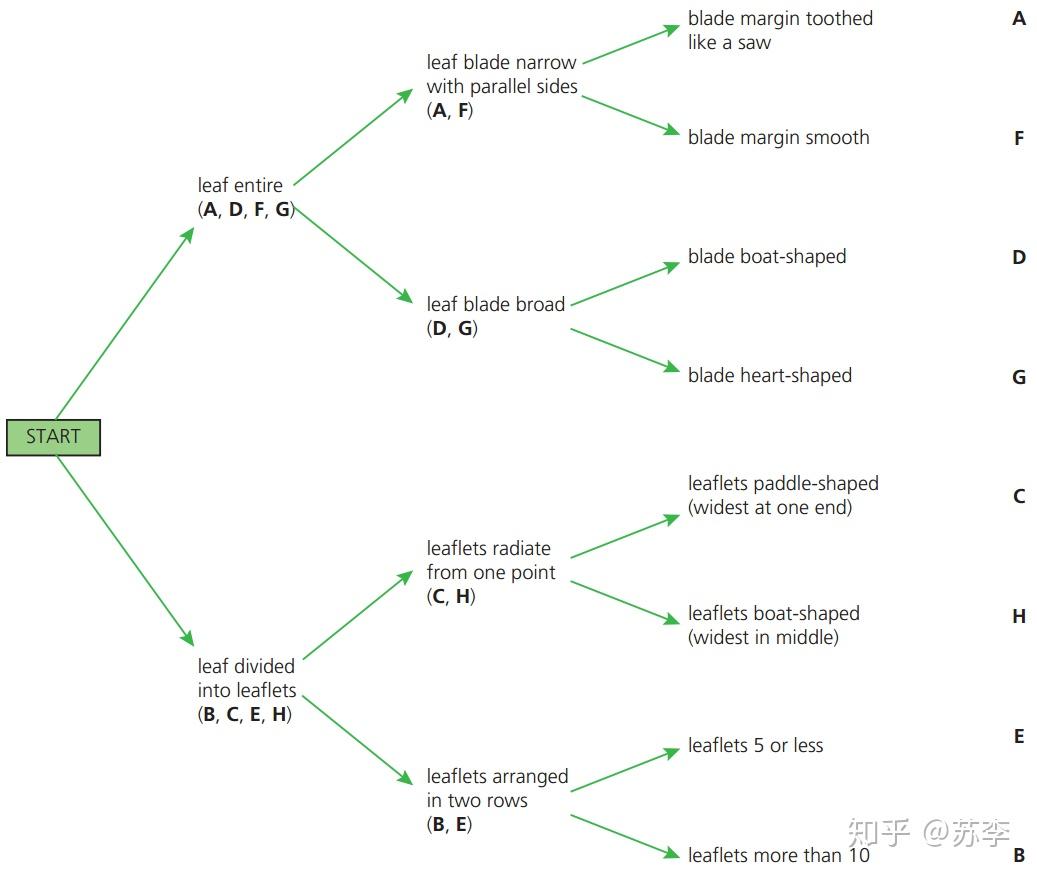 Topic 5.3 Classification of biodiversity (物种分类) - 知乎