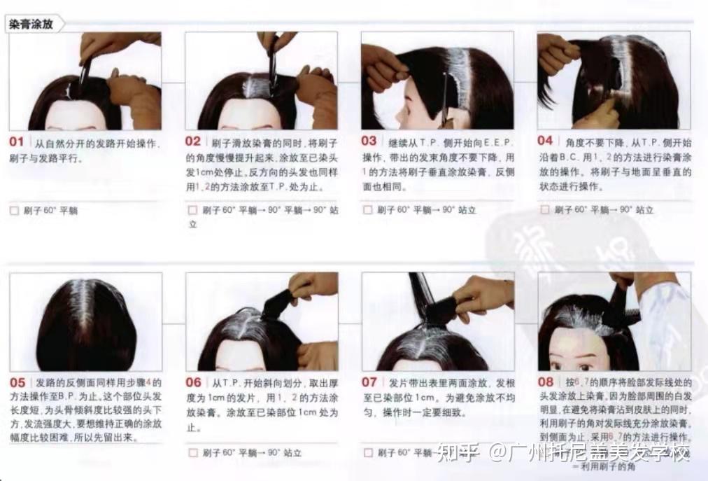 基础染发之白发发根补染 10 - 知乎
