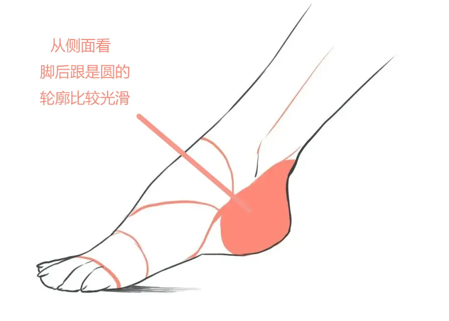 【板绘教程】人物脚怎么画,人物脚的画法步骤图 - 知乎