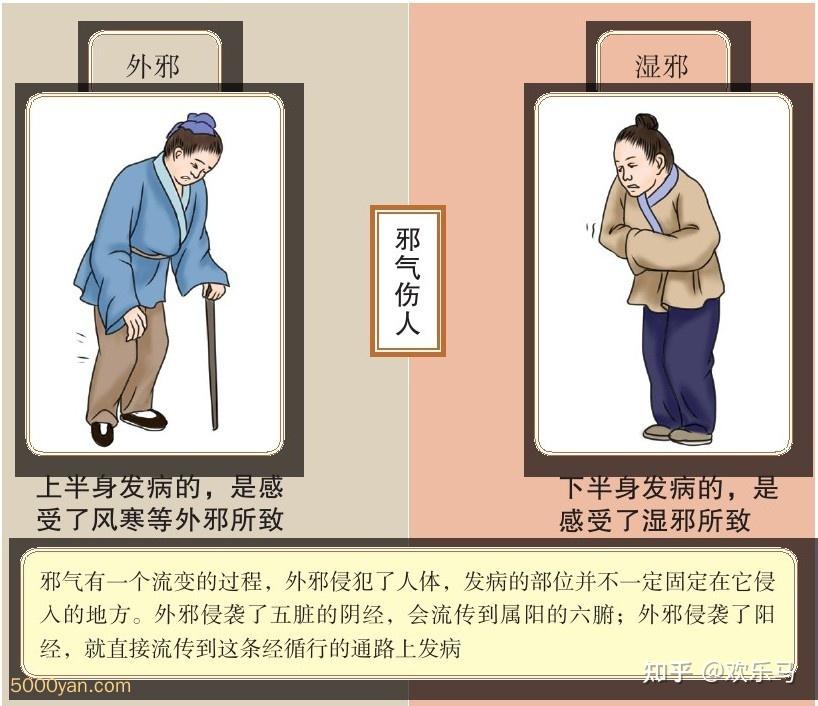 邪气脏腑病形:邪气对脏腑的侵袭 - 知乎