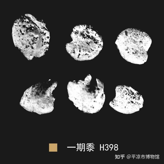 展览在线丨文明上源·大地曙光——大地湾遗址考古出土文物展(三):原始农业 - 知乎