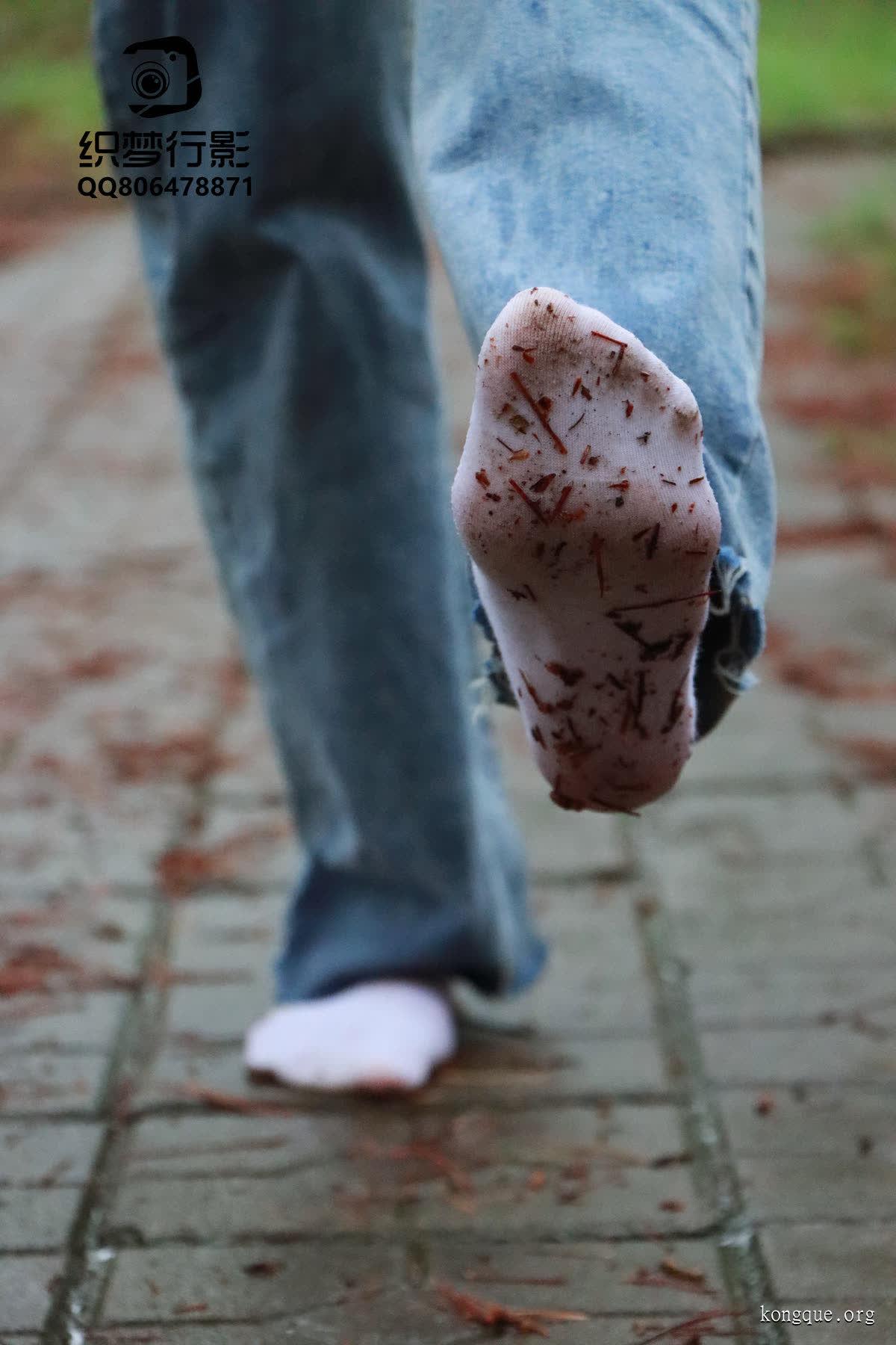 织梦映像 - 全套76期及视频合集[584G-2025.12]-佳人吧