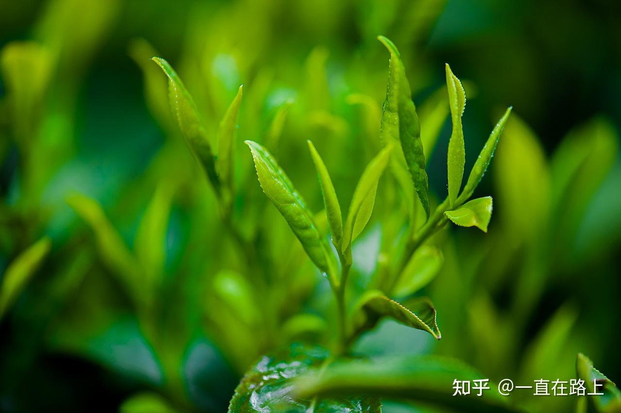 v2-3c068e99e201a6d25c395d760192abe6_r.jpg