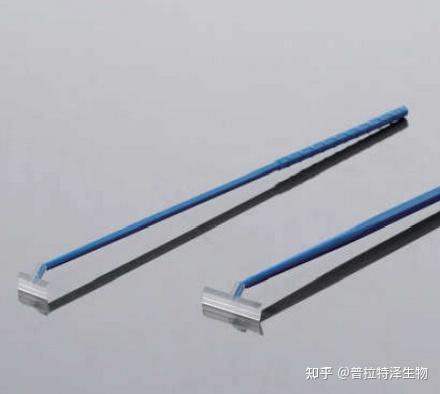 【实验技术】细胞培养技术——细胞消化 - 知乎