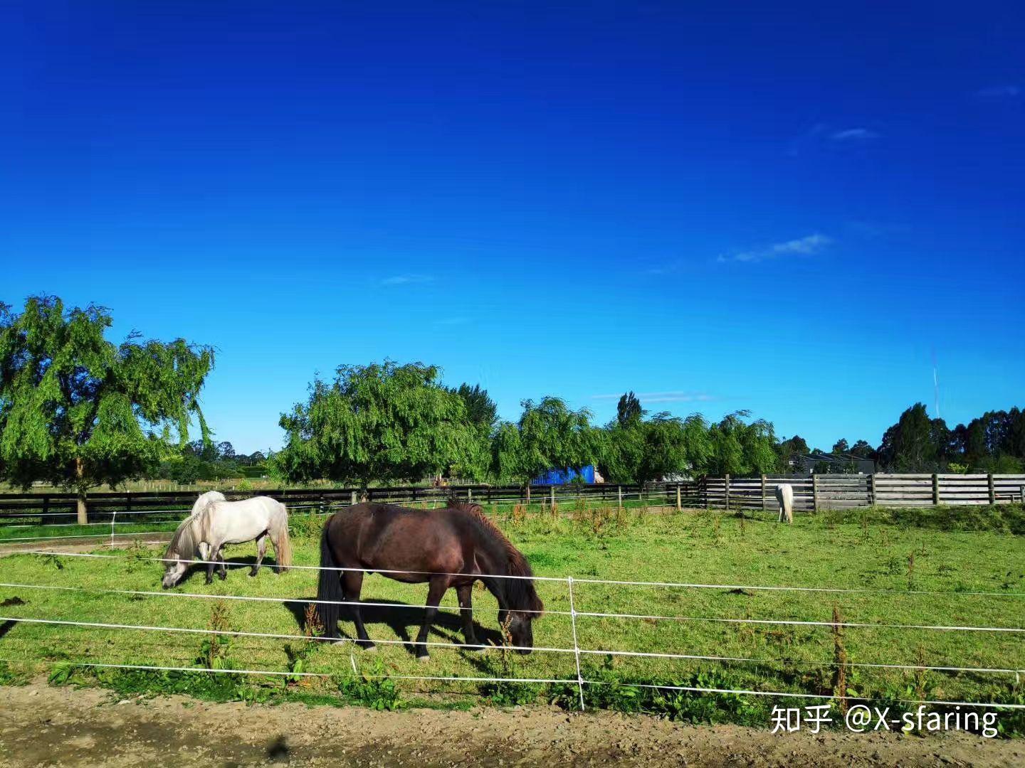 什么样的生活才是你想要的呢