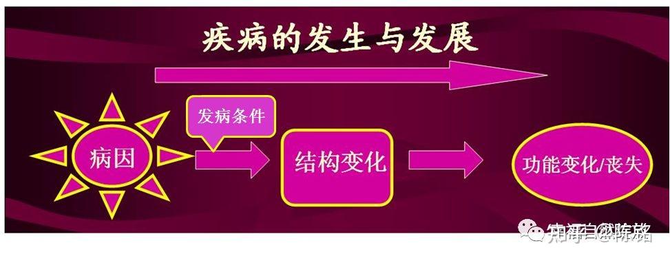 生病的底层逻辑是什么? - 知乎