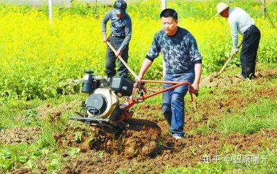 【三农技术讲台】 土地为什么要进行深耕？ - 知乎