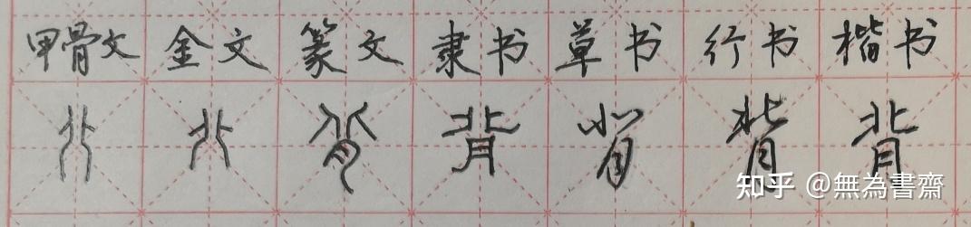 417.《千字文》说文解字“背” - 知乎