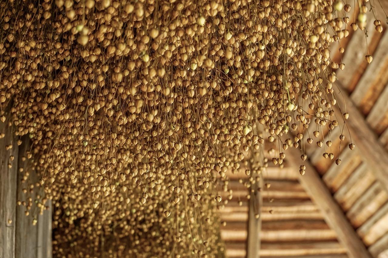 成都涤纶厂怎么样