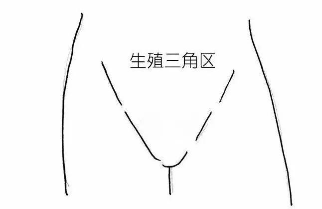 女生私处长什么样?