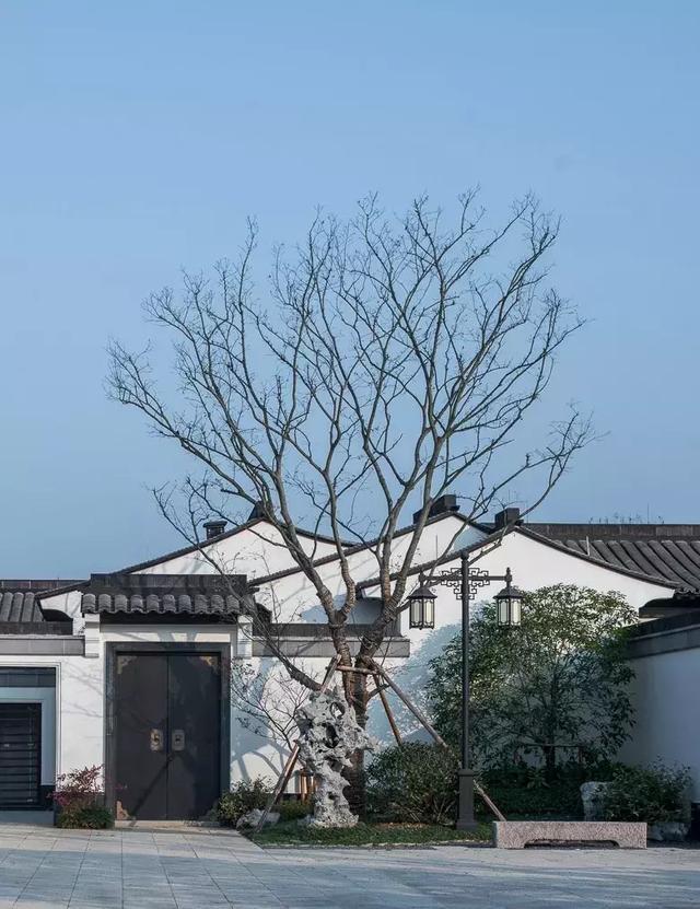 GN栖城设计 | 最美的中式设计—安吉绿城桃花源方竹园 | 管轶群 - 知乎
