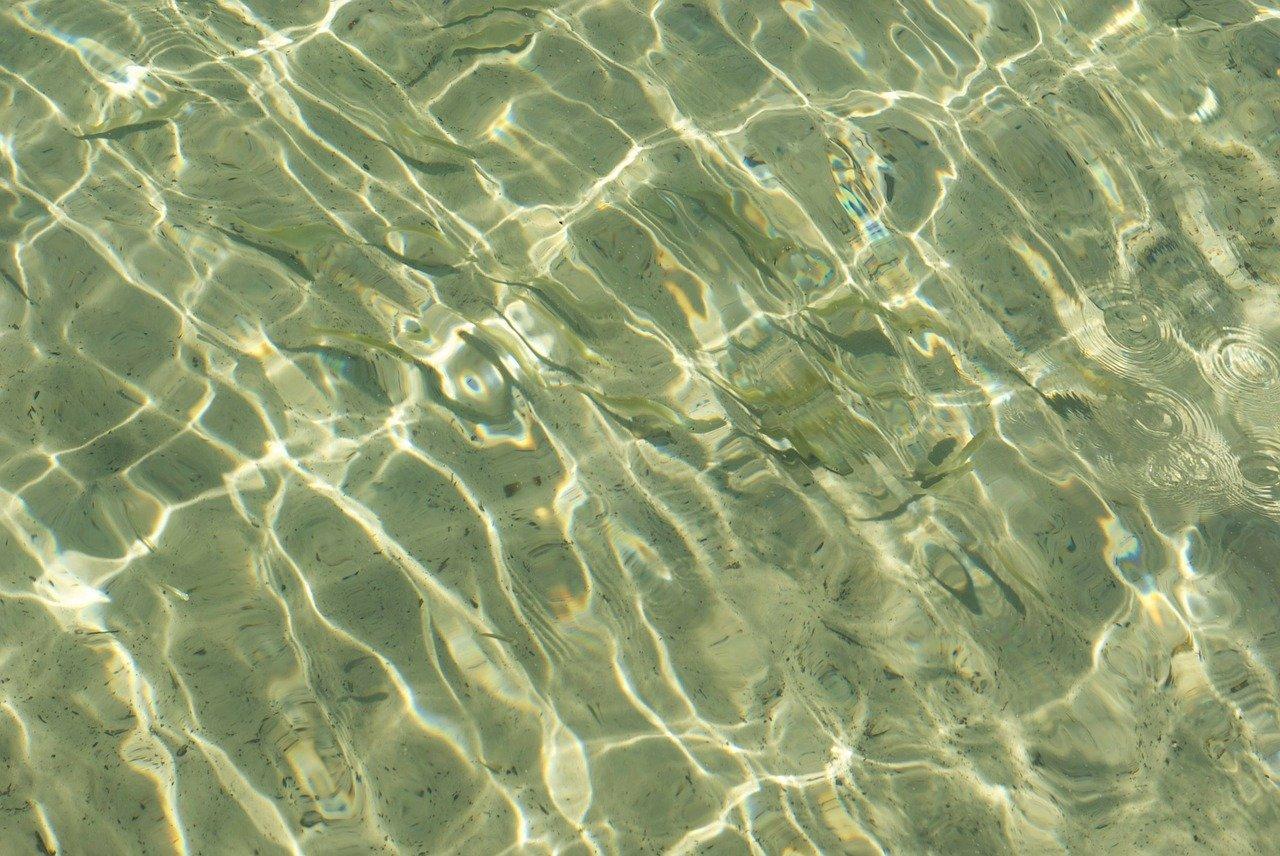 3. 清水濠小学位置