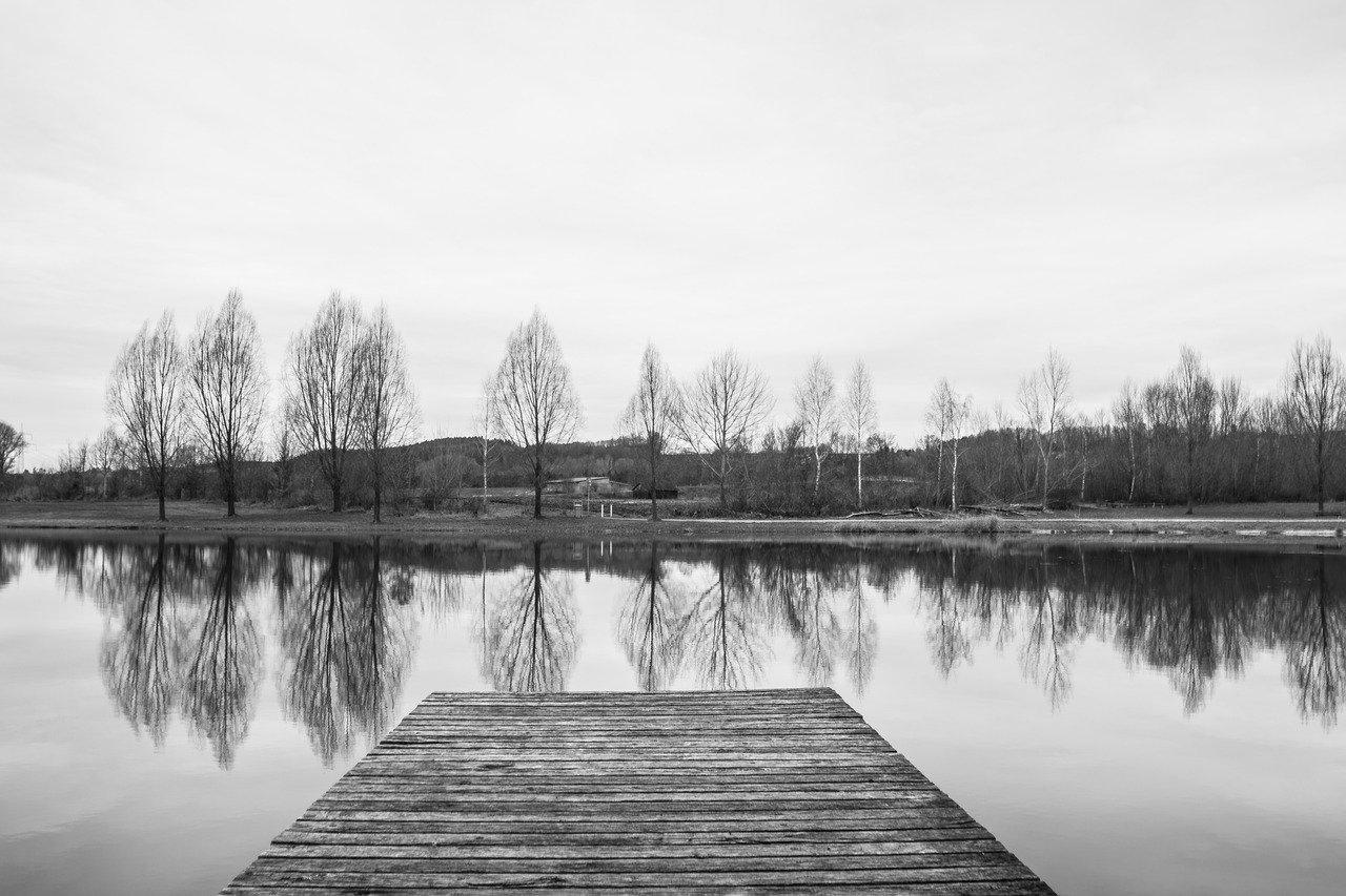 黑白灰怎么搭配