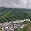 小花骨头
