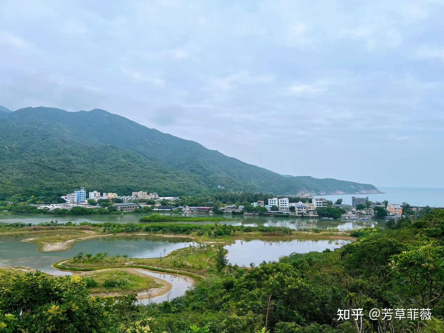 2025周末深圳好去处,深圳绿道徒步(持续更新中~) - 知乎